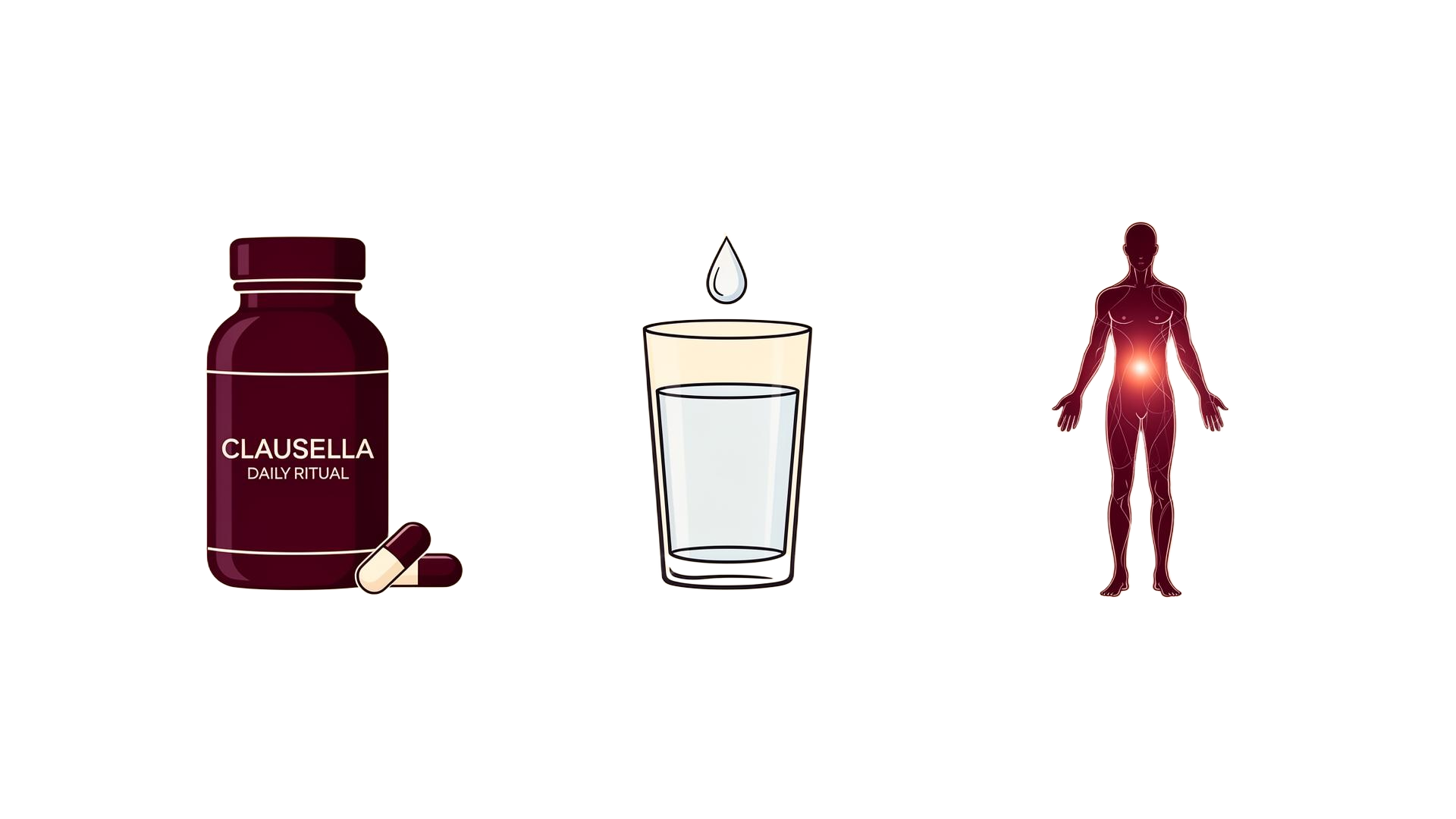 Daily Clausella ritual: capsule, water, energy